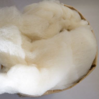 Organic carded wool