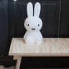 Veilleuse Miffy