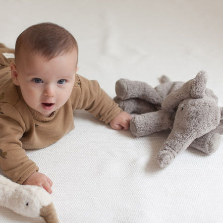 Doudou bouillotte éléphant