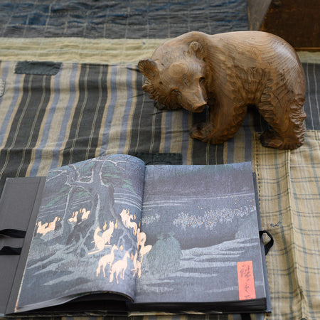 Ours brun d'Hokkaido