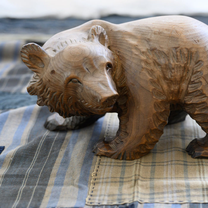 Ours brun d'Hokkaido