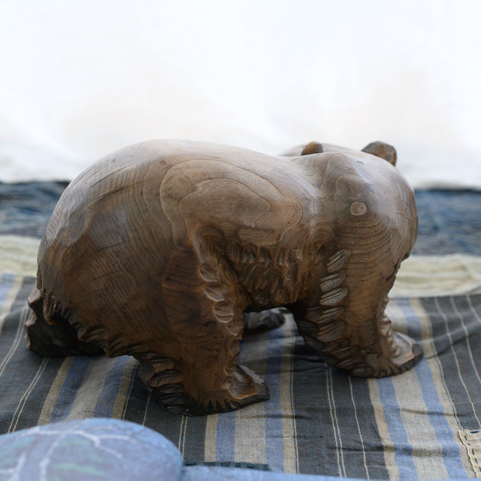Ours brun d'Hokkaido